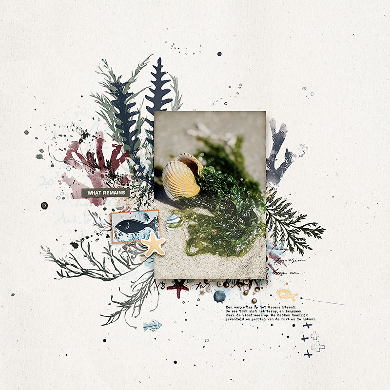 Brine | The Complete Mixed Media Collection - Image 9