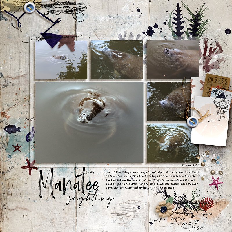 Brine | The Complete Mixed Media Collection - Image 13