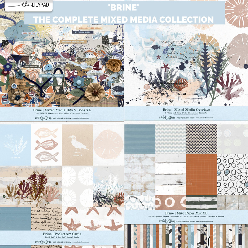 Brine | The Complete Mixed Media Collection