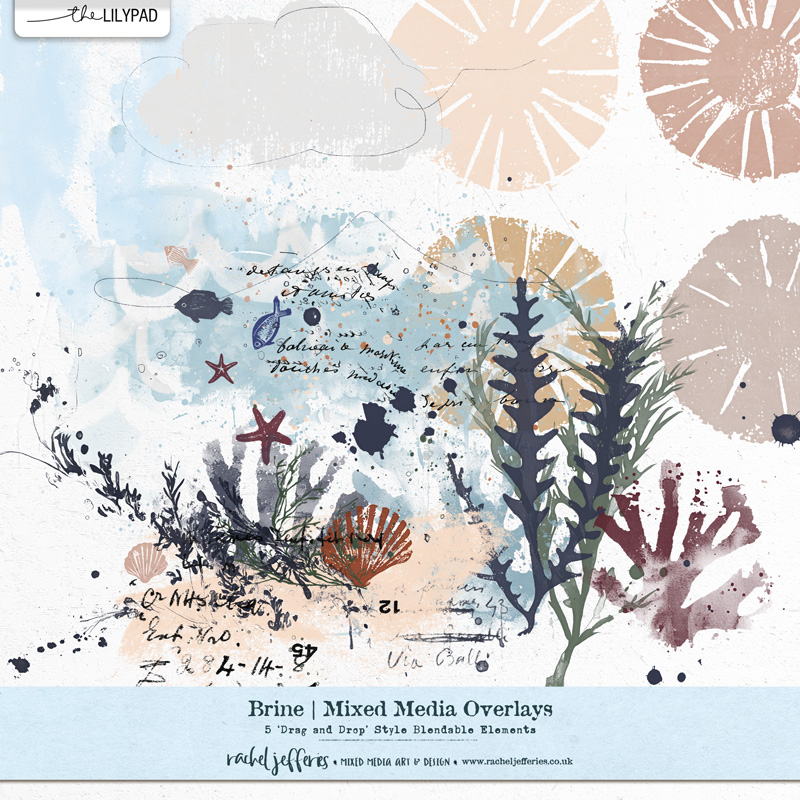 Brine | Mixed Media Overlays