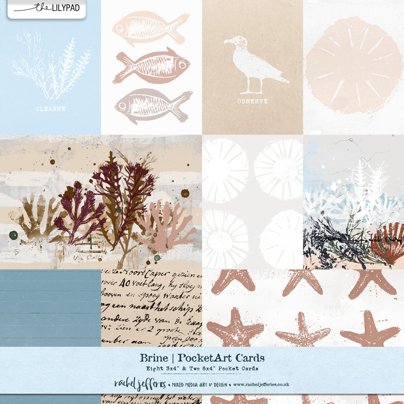 Brine | Pocket Art Cards