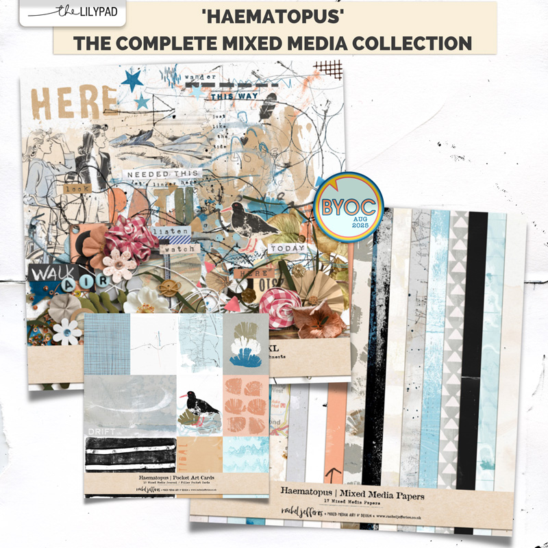 Haematopus | The Complete Mixed Media Collection