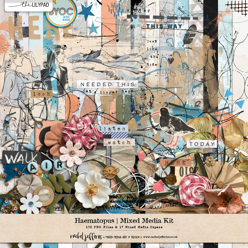 Haematopus | Mixed Media Kit