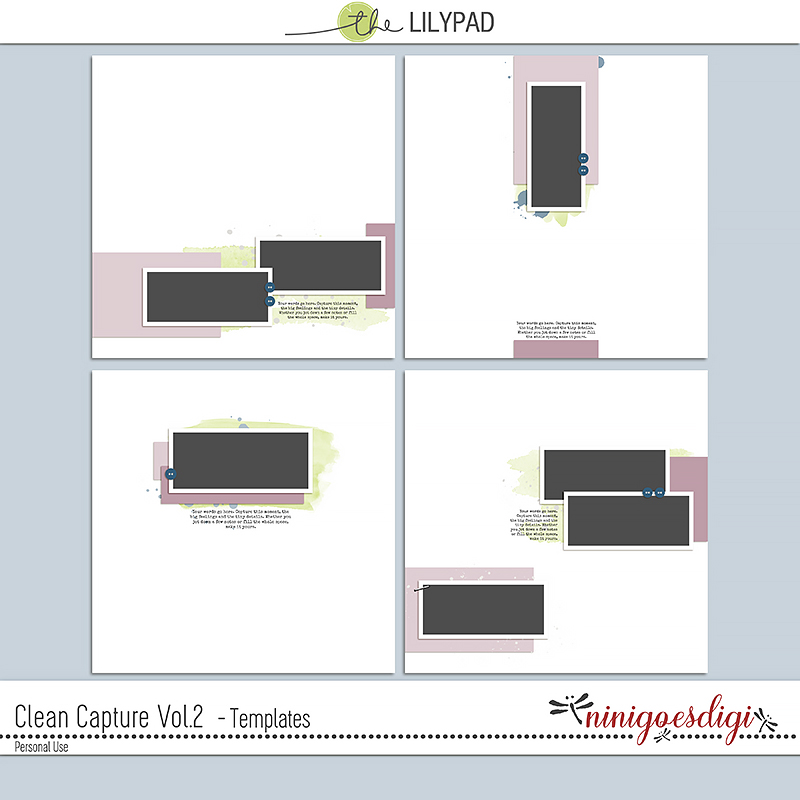 Clean Capture Vol.2 | Templates