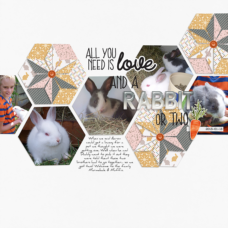 Happy Tales | Glossy Alpha - Image 2