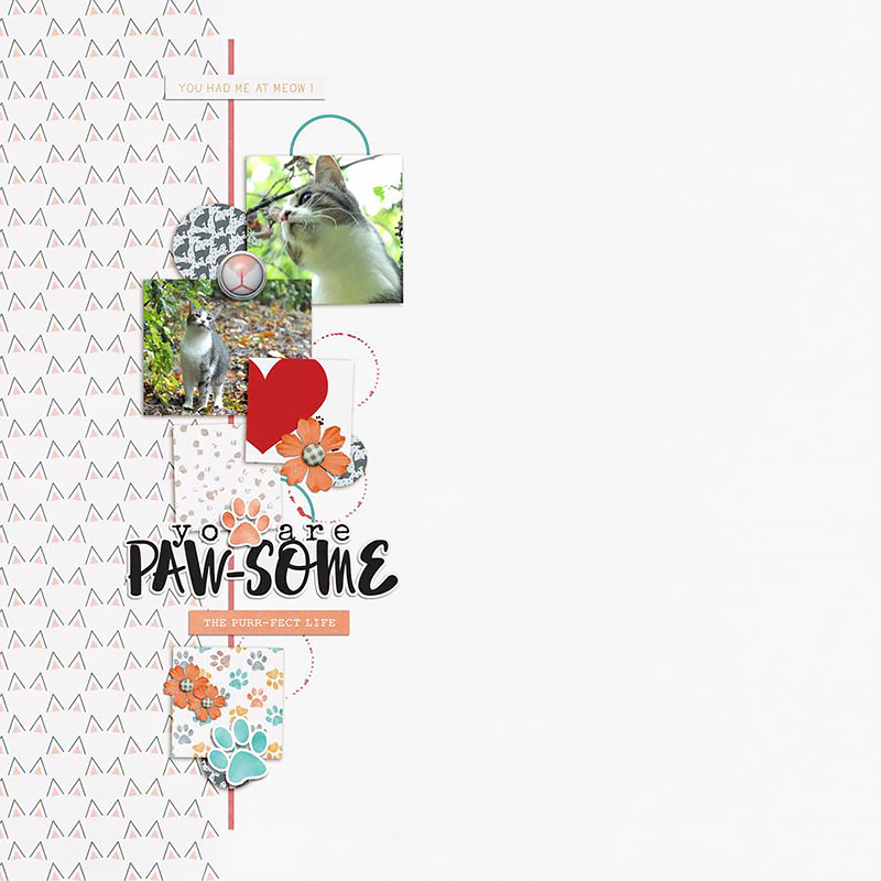 Purfect Tales | Collaboration Kit - Image 5