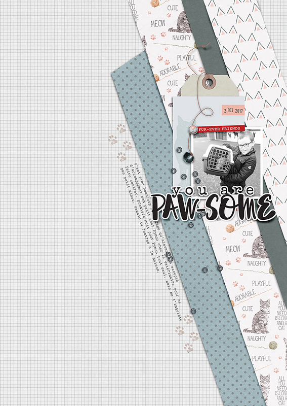 Purfect Tales | Collaboration Kit - Image 4