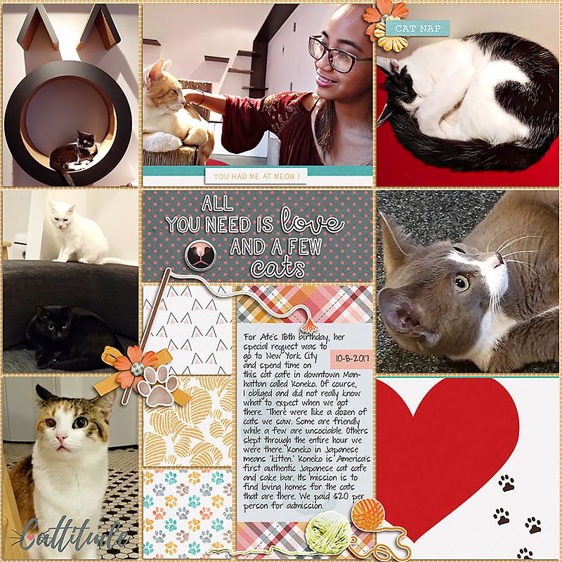 Purfect Tales | Collaboration Kit - Image 3