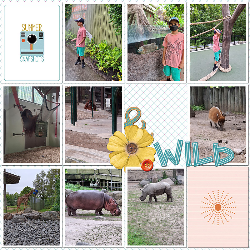 Summer Snapshots | Alpha by ninigoesdigi - Image 9