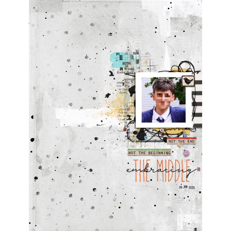 The middle (bundle) - Image 9