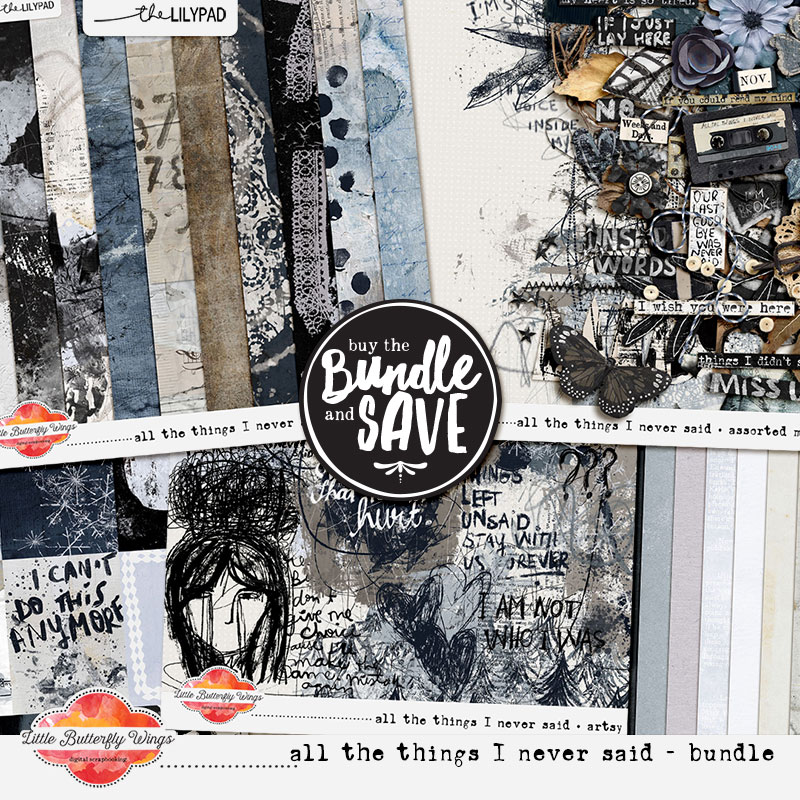 All the things I never said (bundle)