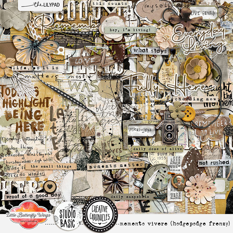 Creative Chronicles: memento vivere (hodgepodge frenzy)