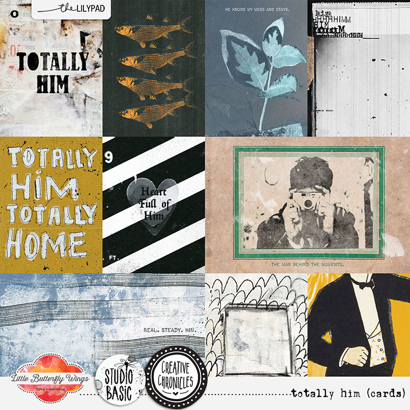 Creative Chronicles: totally him (cards)