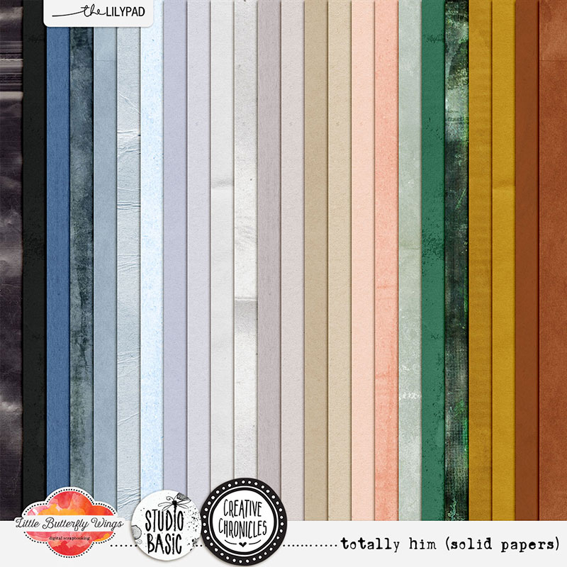 Creative Chronicles: totally him (solid papers)