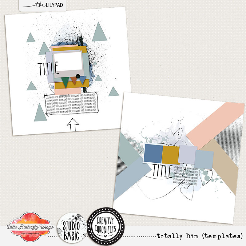 Creative Chronicles: totally him (templates)
