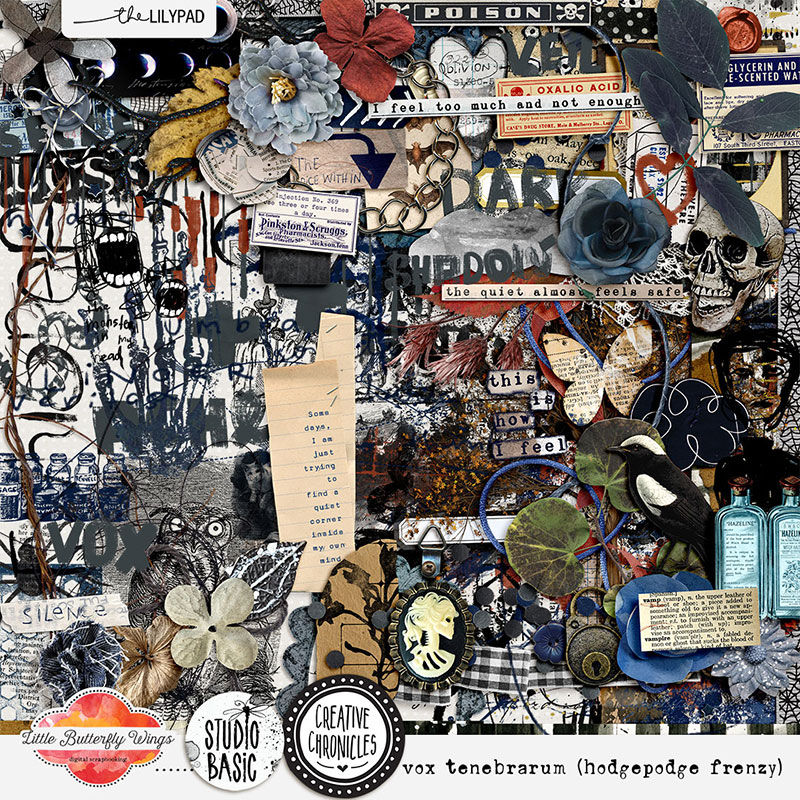Creative Chronicles: vox tenebrarum (hodgepodge frenzy)