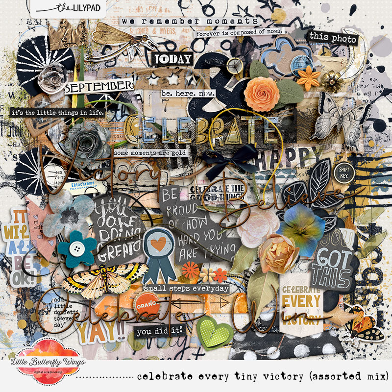 Celebrate every tiny victory (assorted mix)