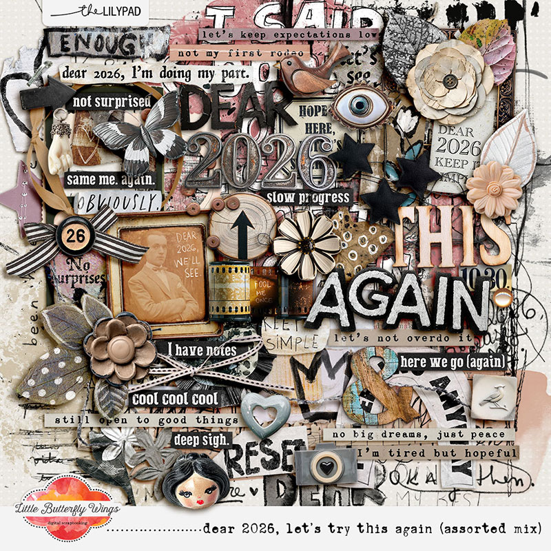 Dear 2026, let's try this again (assorted mix)