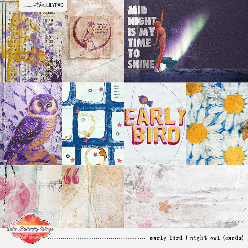 Early bird | Night owl (cards)