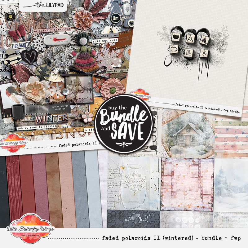 Faded Polaroids II (wintered) - bundle + fwp