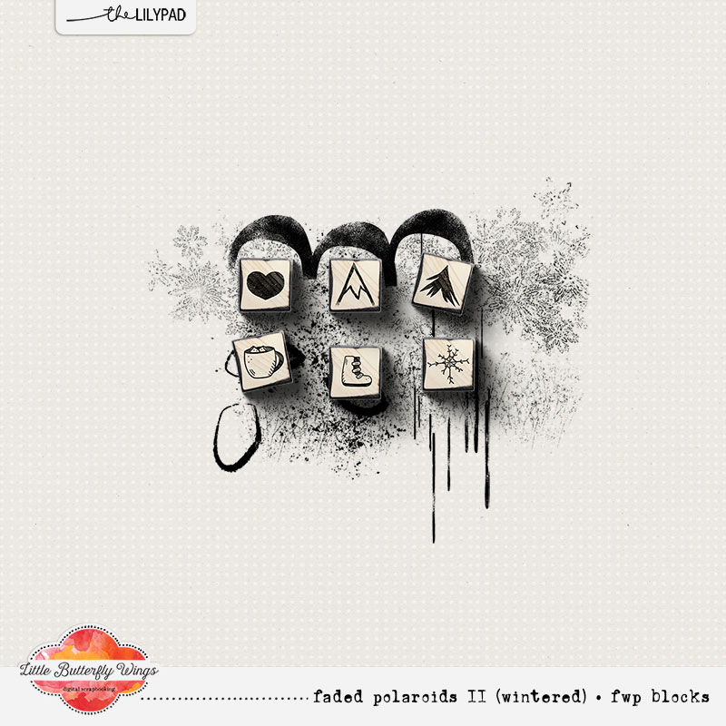 Faded Polaroids II (wintered) - bundle + fwp - Image 2