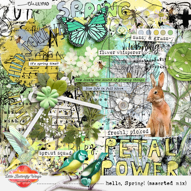 Hello, Spring (assorted mix)