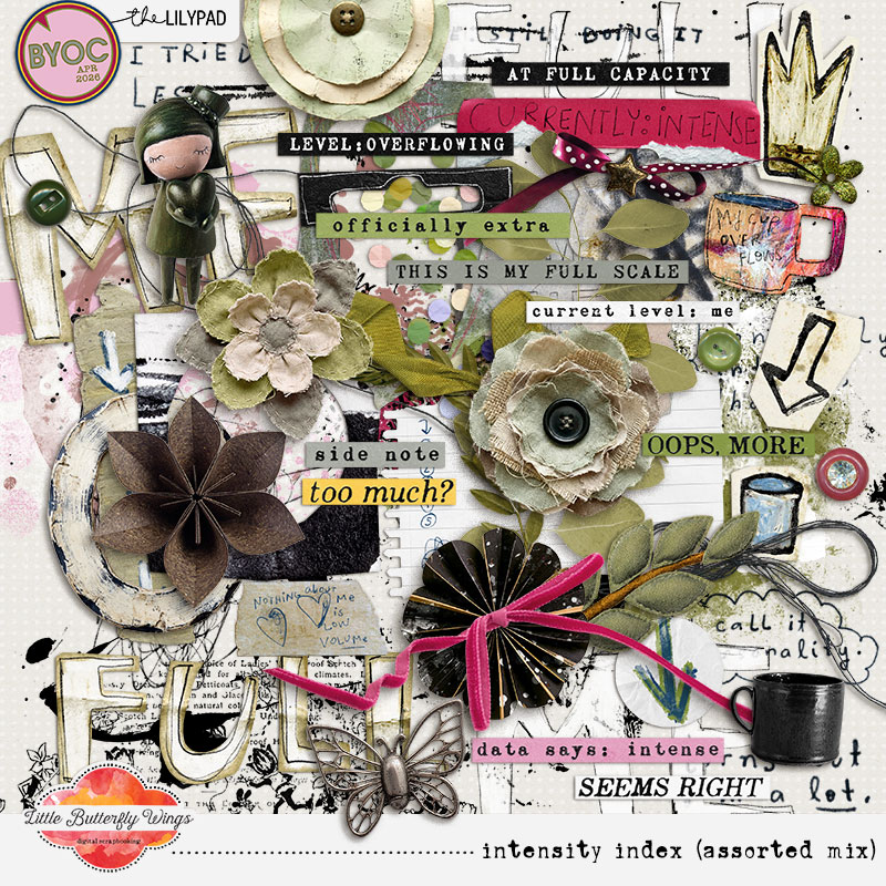 Intensity Index (bundle) - Image 2