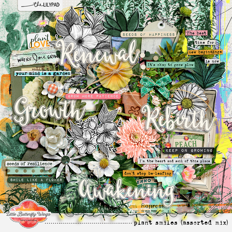 Plant Smiles (bundle) - Image 2