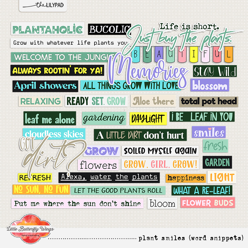 Plant Smiles (bundle) - Image 6