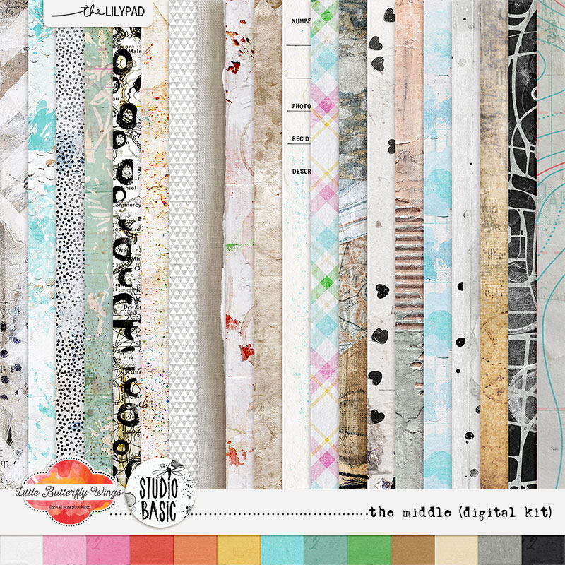 The middle (bundle) - Image 3
