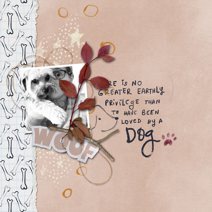 Crazy dog lady (solid papers) - Image 3