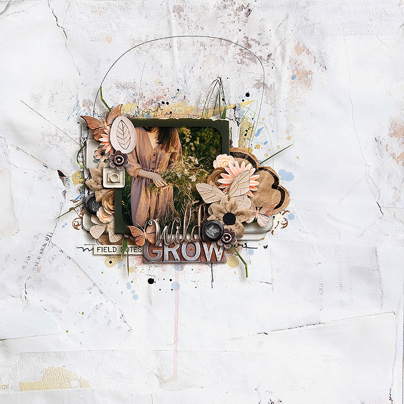 Into the wildflowers (bundle) - Image 7