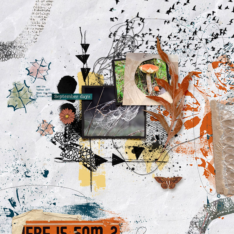 And then it was September (bundle) - Image 8