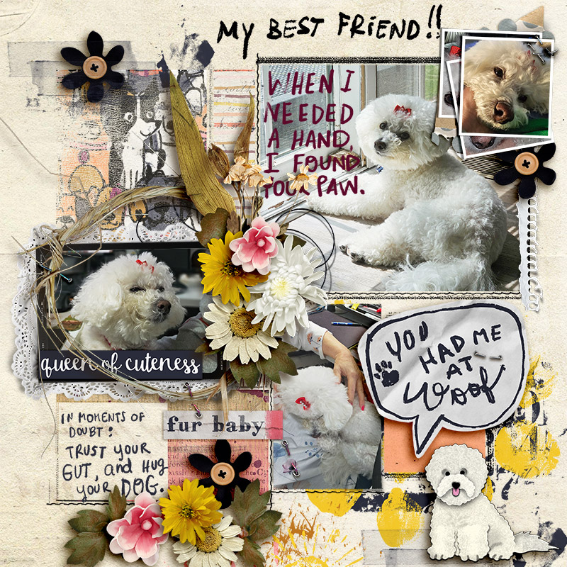 Crazy dog lady (solid papers) - Image 7