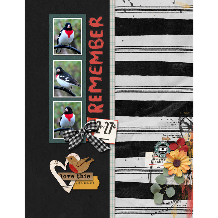 Label it (papers) - Image 3