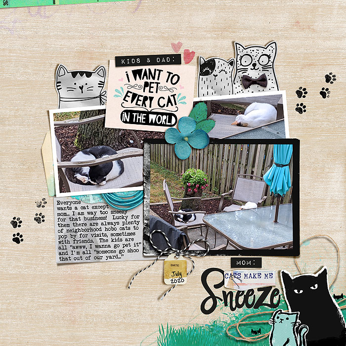 Crazy cat lady (solid papers) - Image 5