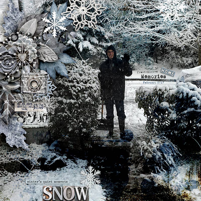 Whispers in the snow (solid papers) - Image 4
