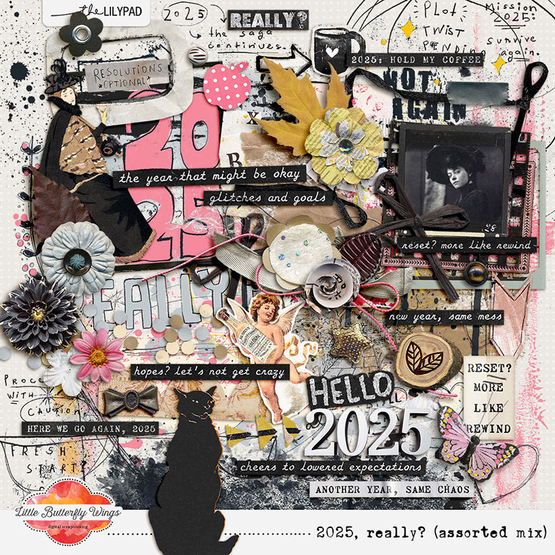 2025, really? (assorted mix)