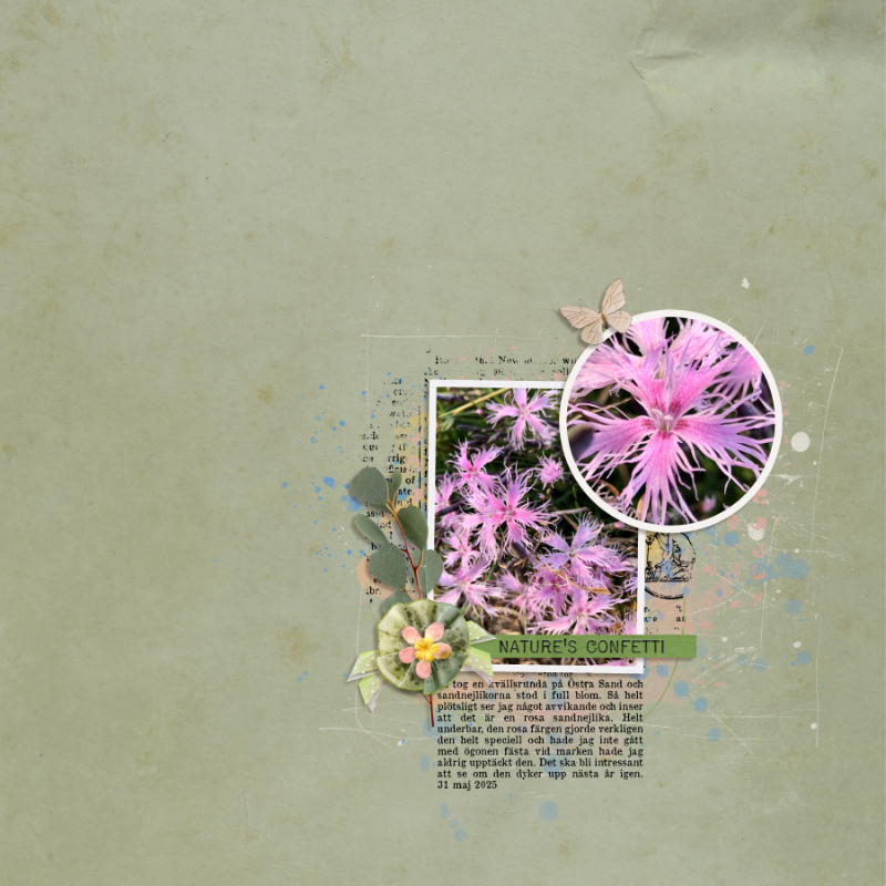 Into the wildflowers (bundle) - Image 10