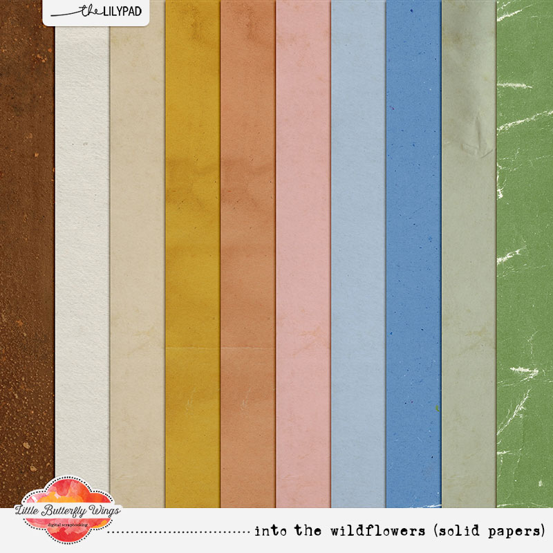 Into the wildflowers (solid papers)