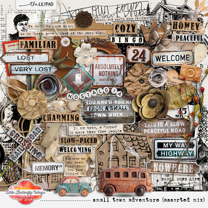 Small town adventure (assorted mix)