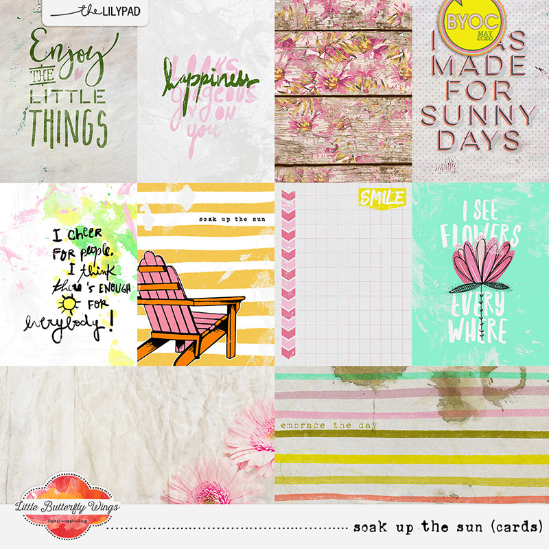 Soak up the sun (bundle) - Image 3