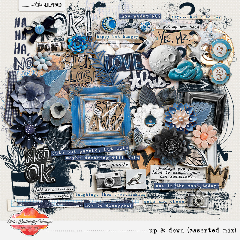 Up & Down (bundle + fwp) - Image 3