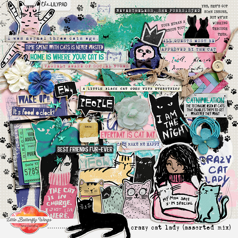 Crazy cat lady (assorted mix)