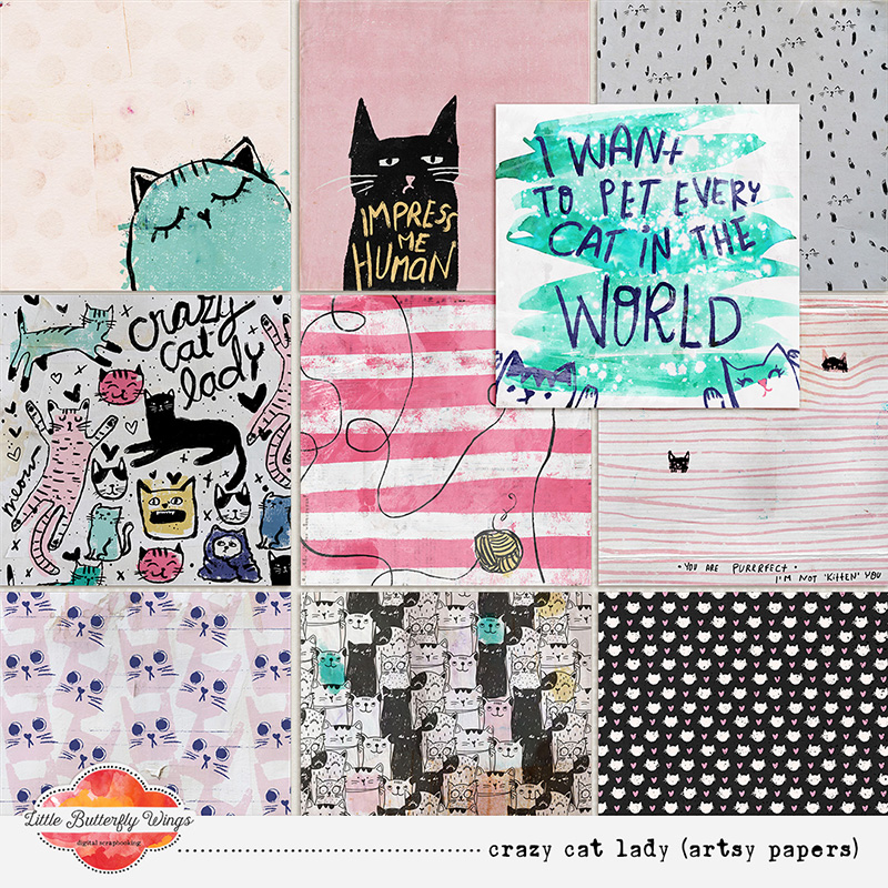 Crazy cat lady (artsy papers)