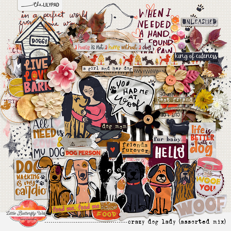 Crazy dog lady (assorted mix)
