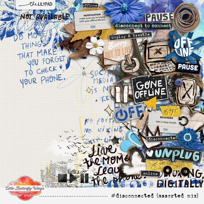 disconnected (bundle) - Image 2