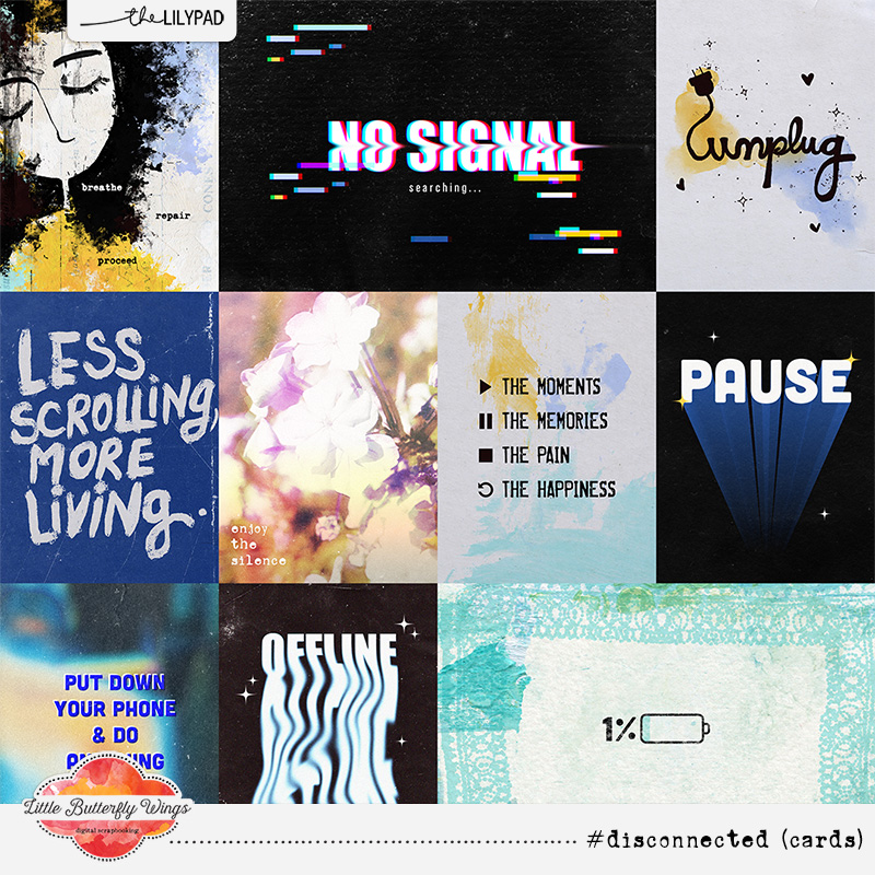 disconnected (bundle) - Image 4