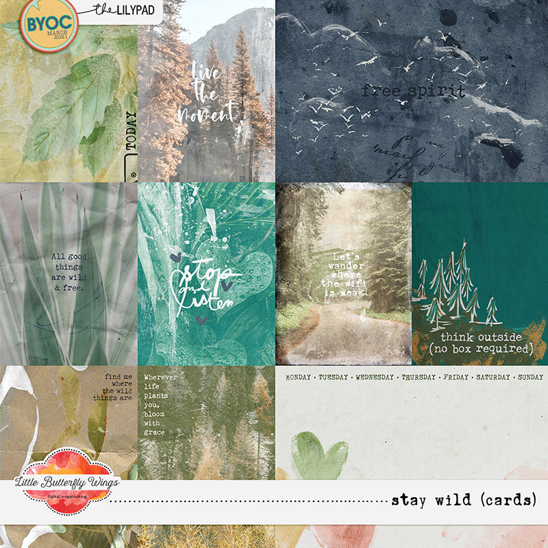 Stay Wild (bundle) - Image 4