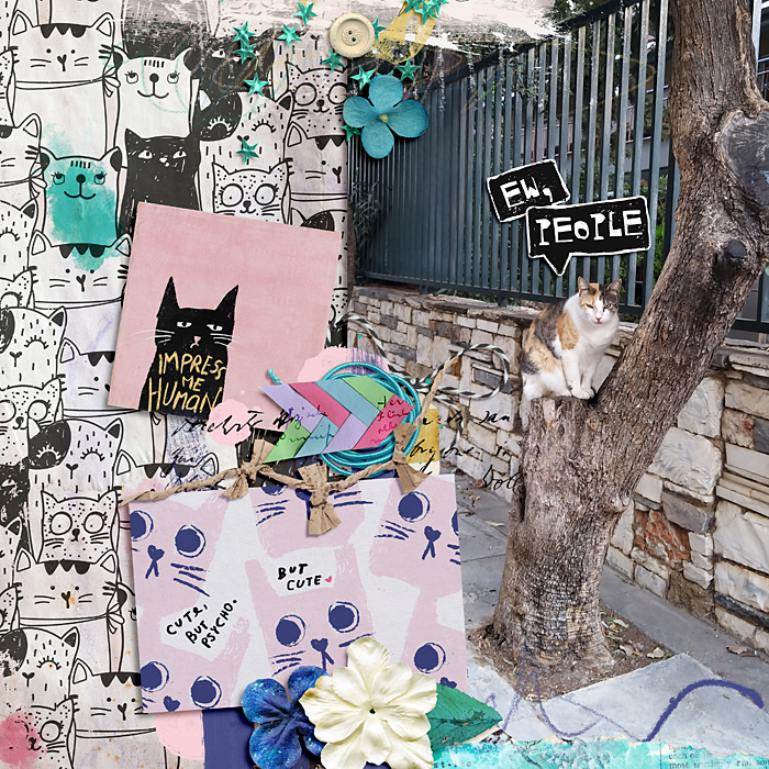 Crazy cat lady (solid papers) - Image 3